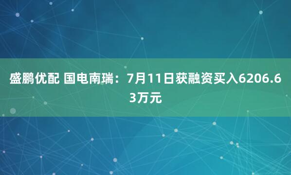 盛鹏优配 国电南瑞：7月11日获融资买入6206.63万元