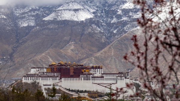 金多多配资 辉煌60载 魅力新西藏｜在西藏 见证写在绿水青山间的生态答卷